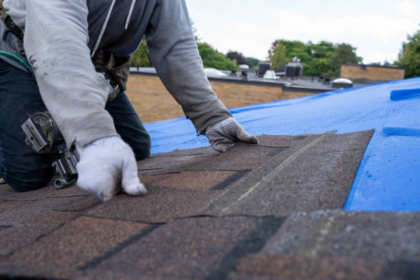 Best Commercial Roofing Services  in Hamburg, PA