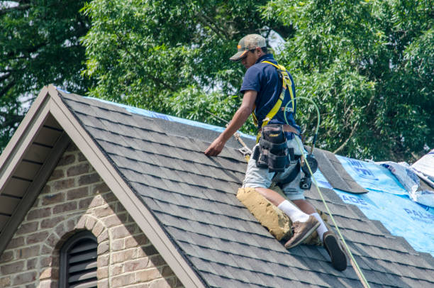 Best Roof Waterproofing Services  in Hamburg, PA